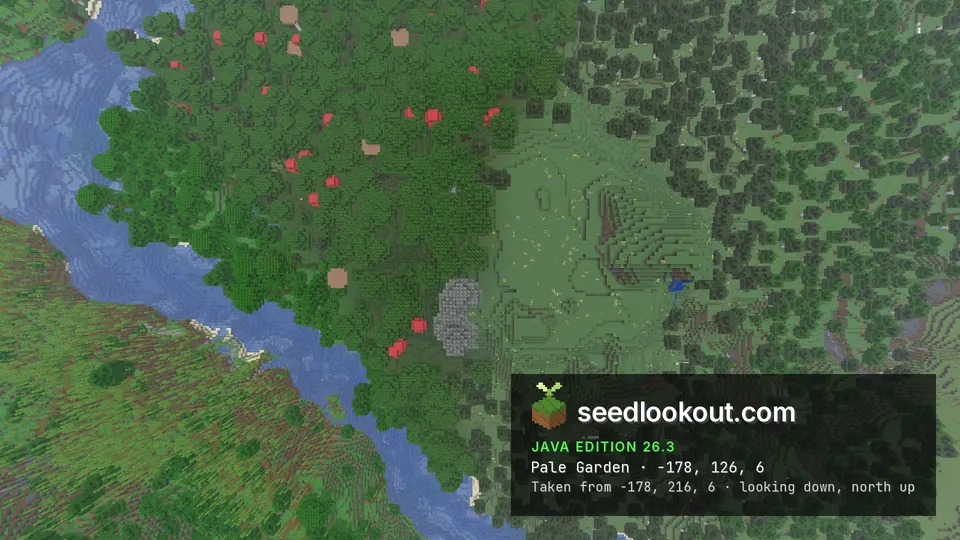 Overhead view of a small patch of grey pale oak trees at the edge of dark forest beside a meadow clearing