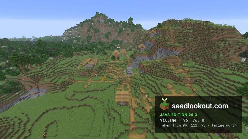Village houses on terraced green slopes with paths and a well, a mountain behind