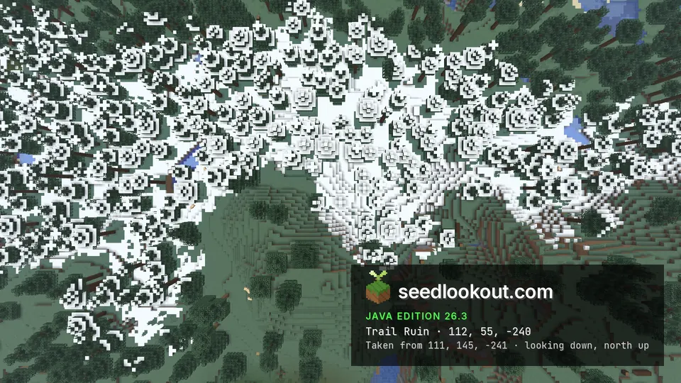Overhead snowy forest covering the confirmed buried trail ruins, with no excavated ruin shown