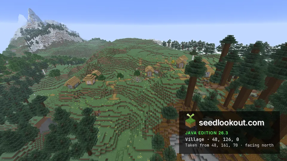 Plains village on grassy slopes with giant spruce trees and a snow-capped peak behind