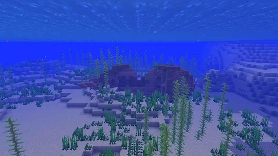 The broken wooden hull of a naturally generated shipwreck on the ocean floor